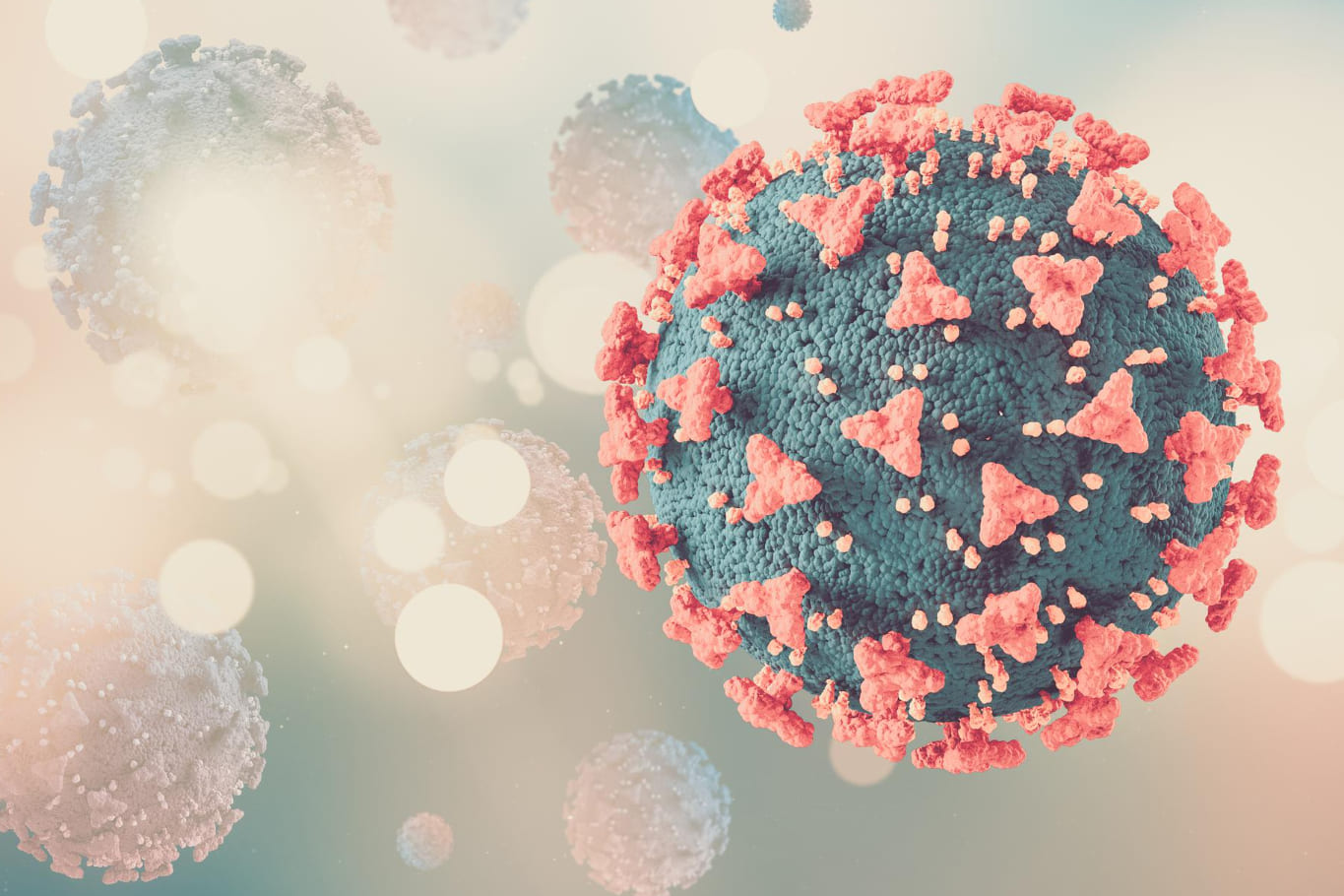 Identificación de virus de papiloma humano y tratamiento